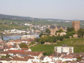 Гостиница Ferienwohnung Germaniablick  Бинген-На-Рейне